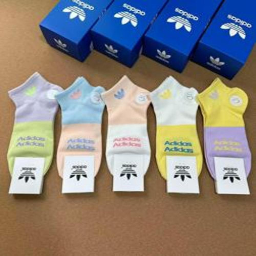 여성용 단목 양말 세트