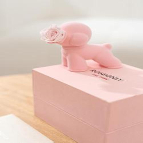 오브제