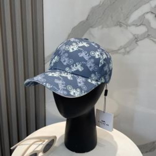 볼캡
