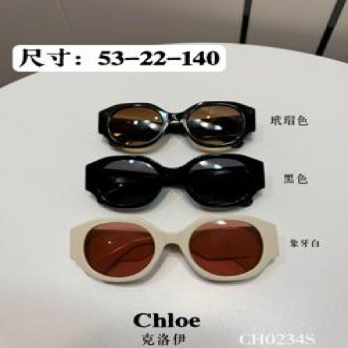 웰링턴 선글라스